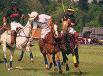 polo1.gif (7795 octets)